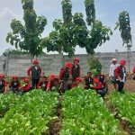 Bupati Nina Agustina Buka Pelatihan Seribu Petani Muda Indramayu