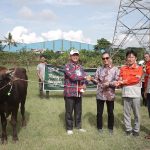 Cirebon Power Bagikan Puluhan Hewan Kurban