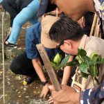Penanaman 10 Ribu Mangrove, Upaya Jaga Ekosistem Pantai