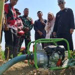 DKPP Indramayu Gerak Cepat Atasi Kekeringan Area Persawahan