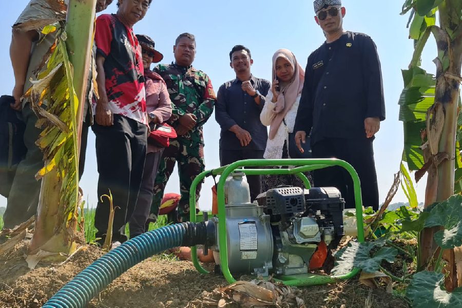 DKPP Indramayu Gerak Cepat Atasi Kekeringan Area Persawahan
