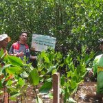 Lestarikan Bangau Bluwok, Pertamina Patra Niaga RJBB Tanam 3.750 Mangrove