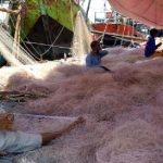 Produksi Ikan Indramayu Jadi yang Terbanyak di Jawa Barat