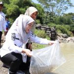 Pemkot Cirebon Tebar 85 Ribu Benih Ikan di Kalijaga