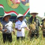 Panen Raya Serentak, Andrie Sulistio Puji Komitmen Prabowo Bangun Pertanian