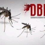 Wabah DBD Ancam Desa Astana, Warga Desak Pemerintah Lakukan Fogging