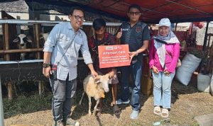 Alfamart bersama IWO Jabar Salurkan Kurban untuk Warga Indramayu