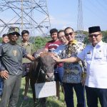 Cirebon Power Bagikan Hewan Kurban ke 10 Desa Sekitar Pembangkit