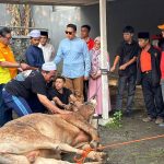 Dave Laksono: Kurban Wujud Nyata Kepedulian Sosial
