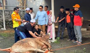 Dave Laksono: Kurban Wujud Nyata Kepedulian Sosial
