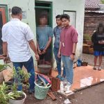 Polres Cirebon Kota Tangkap Pengedar Ekstasi di Kesambi