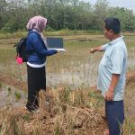 Pengelolaan Data dengan Metode Poligonisasi, Solusi Cerdas untuk Pertanian Modern
