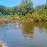 DLH Kota Cirebon Dorong Pelestarian Mangrove untuk Ekonomi Hijau Berkelanjutan