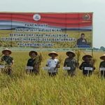 Petani Majalengka Sambut Gembira Penurunan Harga Pupuk Subsidi