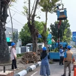 Antisipasi Bencana, DPRKP Kota Cirebon Intensifkan Pemangkasan Pohon