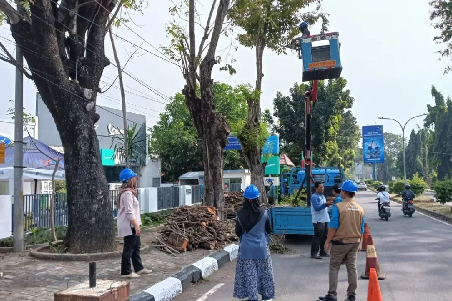 Antisipasi Bencana, DPRKP Kota Cirebon Intensifkan Pemangkasan Pohon