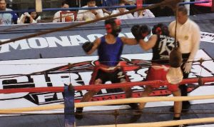 Cirebon Fight Arena ke-3 Memanas, Ratusan Petinju Berebut Tiket Profesional