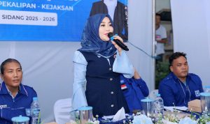 Digitalisasi Kesehatan Nasional Dinilai Abaikan Keamanan Data Daerah