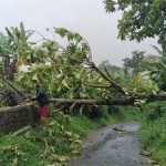Hujan Lebat Picu 26 Bencana di Majalengka, Ratusan Hektare Sawah Terendam