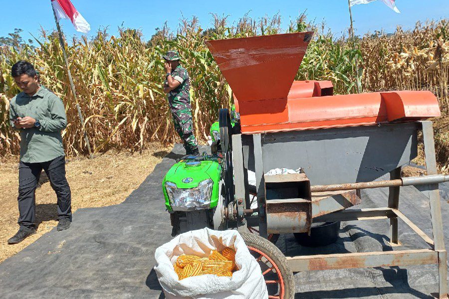 Serapan Jagung Majalengka Tertinggi Ketiga di Jawa Barat