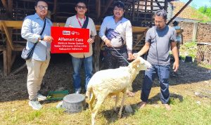 Alfamart dan IWO Jawa Barat Tebar Kepedulian lewat Daging Kurban Alfamart dan IWO Jawa Barat Tebar Kepedulian lewat program kurban