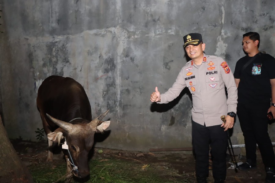 Bantuan Sapi Kurban Kapolri di Cirebon Jadi Simbol Semangat Berbagi
