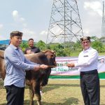 Cirebon Power Bagikan Enam Sapi dan 52 Kambing Jelang Iduladha