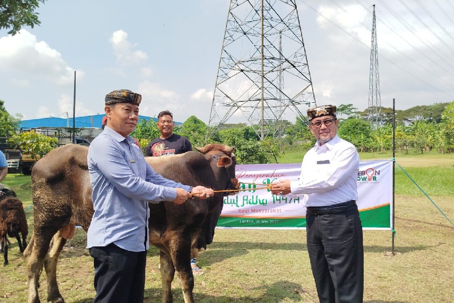 Cirebon Power Bagikan Enam Sapi dan 52 Kambing Jelang Iduladha