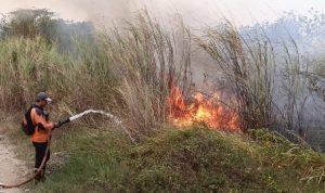 Karhutla Majalengka Meluas, BPBD Catat 12 Kebakaran dalam 10 Hari