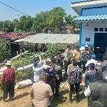 Kekeringan Majalengka, Bupati Eman soroti sawah gagal panen di Jatitujuh. (ist)