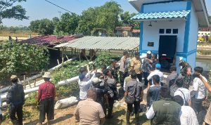Kekeringan Majalengka, Bupati Eman soroti sawah gagal panen di Jatitujuh. (ist)