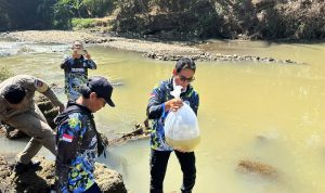 Sepuluh Ribu Benih Ikan Ditebar di Sungai Cilutung Majalengka Sepuluh Ribu Benih Ikan Ditebar di Sungai Cilutung Majalengka