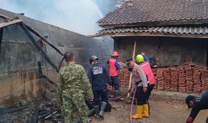 Kandang Ayam Milik Warga Talagawetan Ludes Terbakar
