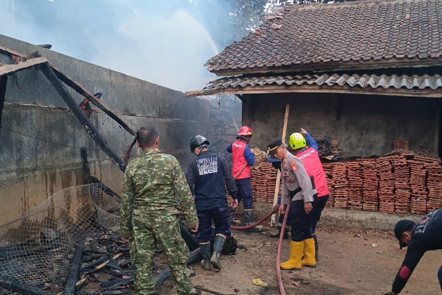 Kandang Ayam Milik Warga Talagawetan Ludes Terbakar